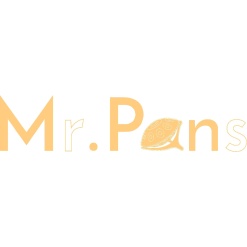 Mr. Pans Handpans