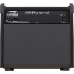 Roland PM-200 Personal Monitor_1